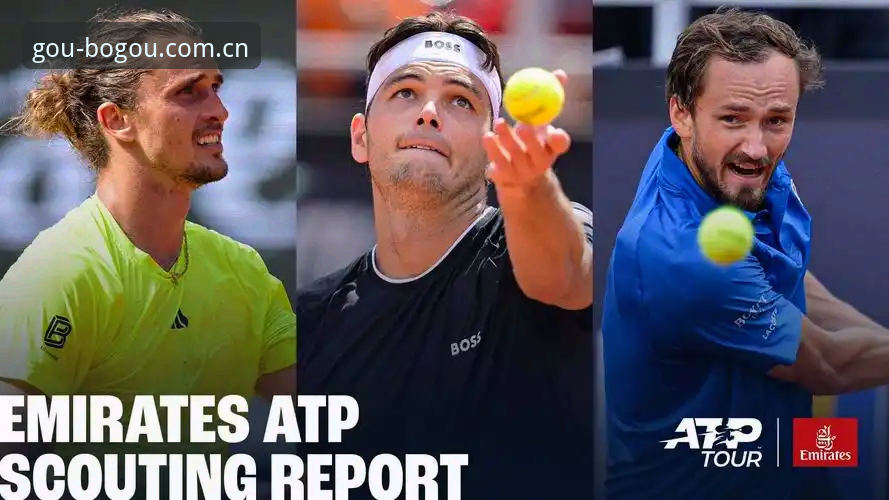 ATP草地赛事观赛与数据追踪完整指南